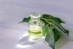 Anwendungsbereiche aus einem Grün-Tee Serum Test Verschiedene Anwendungsbereiche aus einem Grün-Tee Serum Test und Vergleich