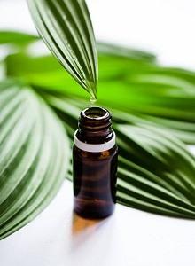 Fakten über den Grün-Tee Serum Testsieger Alle Fakten aus einem Grün-Tee Serum Test und Vergleich