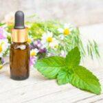 Grün-Tee Serum Test 2026 • Die 5 besten Grün-Tee Seren im Vergleich