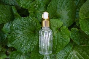 Wissenswertes aus einem Grün-Tee Serum Test Alles Wissenswerte aus einem Grün-Tee Serum Test und Vergleich