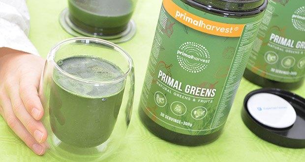 Primal Harvest Primal Greens Superfood-Pulver im Test - eine Bio-Mischung aus Weizen- und Gerstenextrakt ist der Hauptbestandteil von Primal Greens