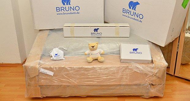 Bruno Schlafsofa 2-Sitzer im Test - Gratis Lieferung & Probeschlafen