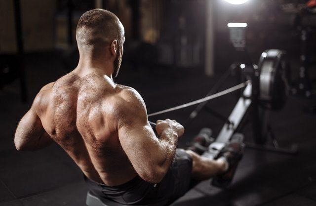 Endlos-Seiltrainer als Alternative zu Rudergeräten