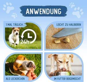 Warum benötigen Hunde Gelenktabletten? Warum benötigen Hunde Gelenktabletten aus dem Test im und Vergleich?