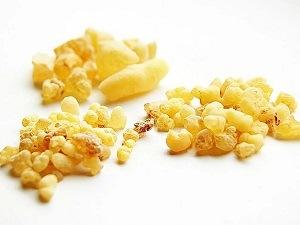Ratgeber aus einem Boswellia Serrata Präparat Test Die besten Ratgeber aus einem Boswellia Serrata Präparat Test und Vergleich
