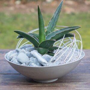 Schwachstellen im Pflanzschale Test Welche Schwachstellen gibt es im Pflanzschale Test?