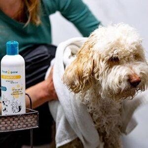 Schwachstellen im Welpen Shampoo Test Welche Schwachstellen gibt es im Welpen Shampoo Test?