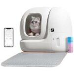 Selbstreinigendes Katzenklo Test 2026 • Die 8 besten selbstreinigenden Katzenklos im Vergleich