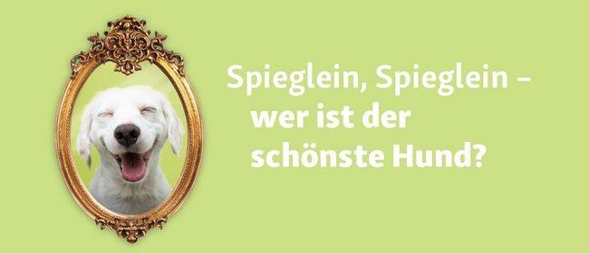 Fressnapf sucht den schönsten Hund