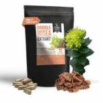 Rosenwurz Test 2026 • Die 6 besten Rosenwurz Präparate im Vergleich