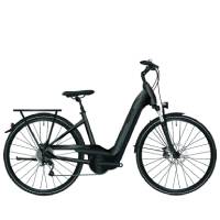 5 Modelle, 1 klarer Sieger: Premium Trekking E-Bike Test | rtl.de  Vergleich