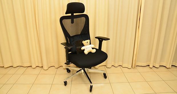 CLOUVOU Ergonomischer Bürostuhl im Test - Orthopädisches Rückenkissen entlastet die Wirbelsäule