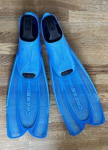 Fragen aus dem Schwimmflossen Test Fragen aus dem Schwimmflossen Test und Vergleich