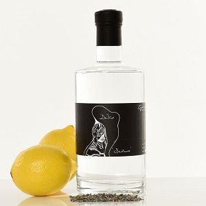 Was ist ein Gin Test? Was ist ein Gin Test und Vergleich?