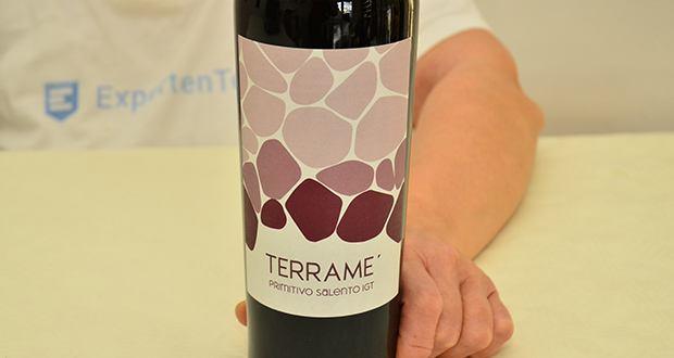 TERRAME Primitivo 2022 Rotwein im Test - 20-jährige, ertragreiche Primitivo-Reben