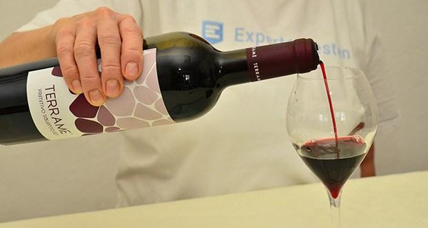 TERRAME Primitivo 2022 Rotwein im Test - Überraschend frische Fruchtigkeit