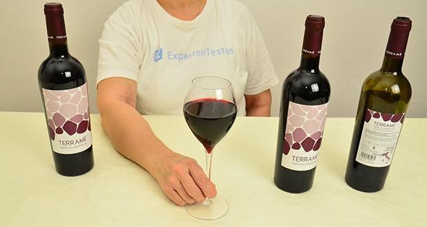 TERRAME Primitivo 2022 Rotwein im Test - Elegant und weicher Rotwein