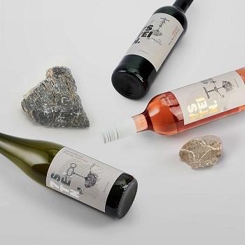 Schwachstellen im Pinot Noir Test Welche Schwachstellen gibt es im Pinot Noir Test?