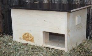 Schwachstellen im Schildkrötenhaus Test Welche Schwachstellen gibt es im Schildkrötenhaus Test?