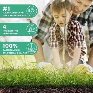 Trends im Bereich Schattenrasen im Test Die neusten Trends im Bereich Schattenrasen im Test