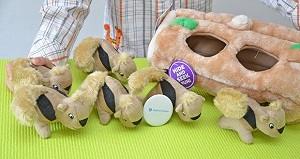 Was ist ein Hundespielzeug Test? Was ist ein Hundespielzeug Test und Vergleich?