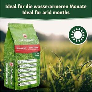 Was ist der beste Schattenrasen Test? Was ist der beste Schattenrasen Test und Vergleich