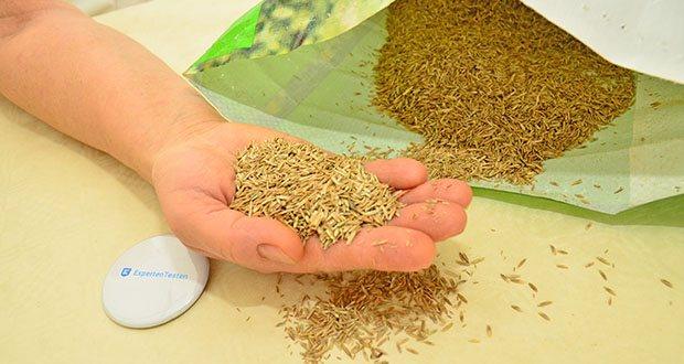 NovaGreen Nachsaat - Reparaturrasen 2,5kg im Test - 90% Deutsches Weidelgras, 10% Wiesenrispe enthalten