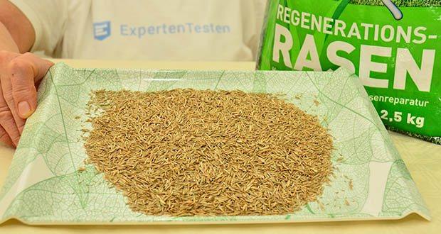 NovaGreen Nachsaat - Reparaturrasen 2,5kg im Test - Robust gegen Belastungen