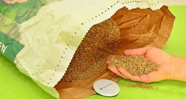 NovaGreen Spiel- und Sportrasen Premium 10kg im Test - Hochwertige Premium-Grasmischung