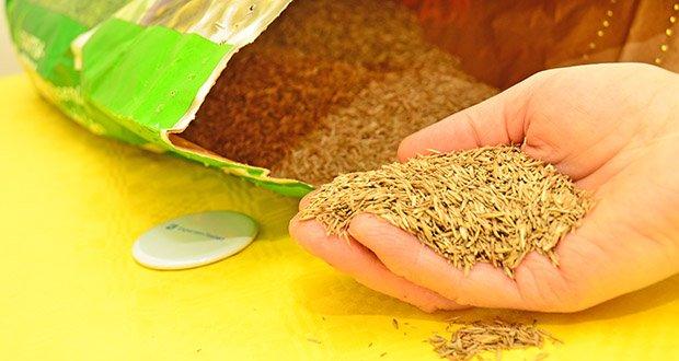 NovaGreen Schattenrasen Premium 2,5kg im Test - Premium Mischung aus hochwertigen Grasarten