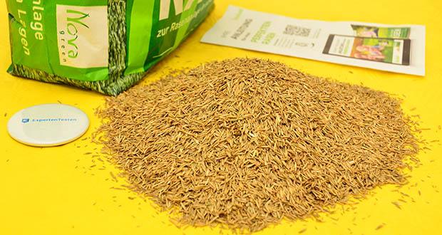NovaGreen Schattenrasen Premium 2,5kg im Test - Schnelles Keimen in nur 10 Tagen