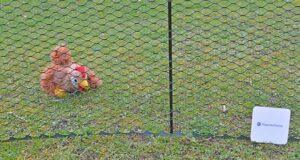 SELFmania Hühnerzaun im Test - Optimal für Freilaufgehege von Hühnern