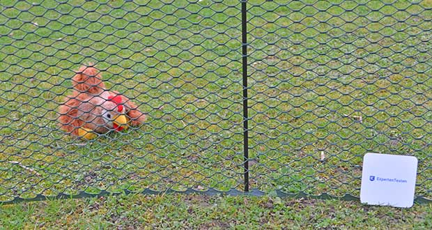 SELFmania HĂĽhnerzaun im Test - Optimal fĂĽr Freilaufgehege von HĂĽhnern