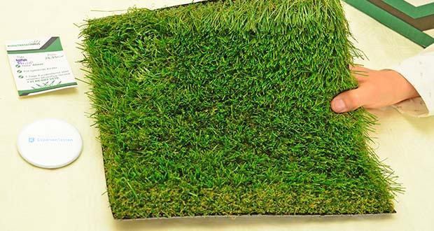 Kunstrasenhaus Kunstrasen Philip im Test - Natürlich aussehende Faser in C- und W-Form