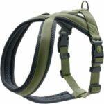 Hundegeschirr Test 2026 • Die 10 besten Hundegeschirre im Vergleich