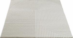 Teppich Test : Was ist das?