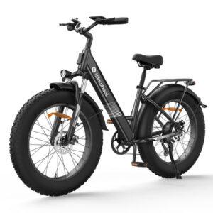 trekking e-bikes Troxus Trax LT E-Bike Step Thru